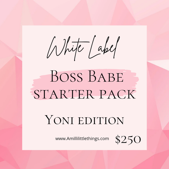 Boss Babe Starter Pack Wholesale Entrepreneur Package